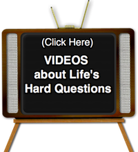 TV Videos
